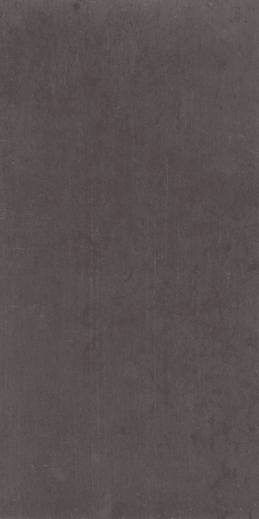 H8304 Metal Grain WPC brown H8304