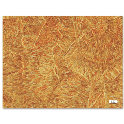 Marble PVC yellow	 KL8053