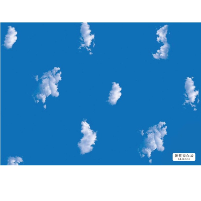 PVC Special blue KL8224