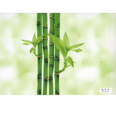 PVC Special green KL8302