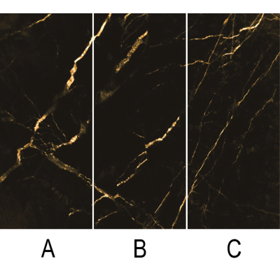 Πάνελ Πολυτελείας No. 2401-ABC