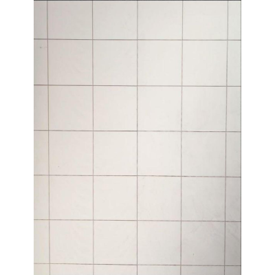 Αδιάβροχo Πάνελ Baths white