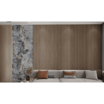 Πάνελ Πολυτελείας GOLDEN SERIES KBJ1-8095 - Image 2